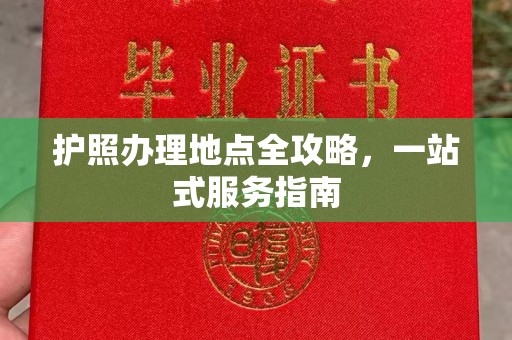 临武护照办理地点全攻略，一站式服务指南